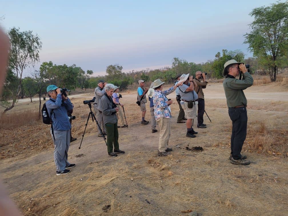 Wet Tropics Endemic Birding Expeditions